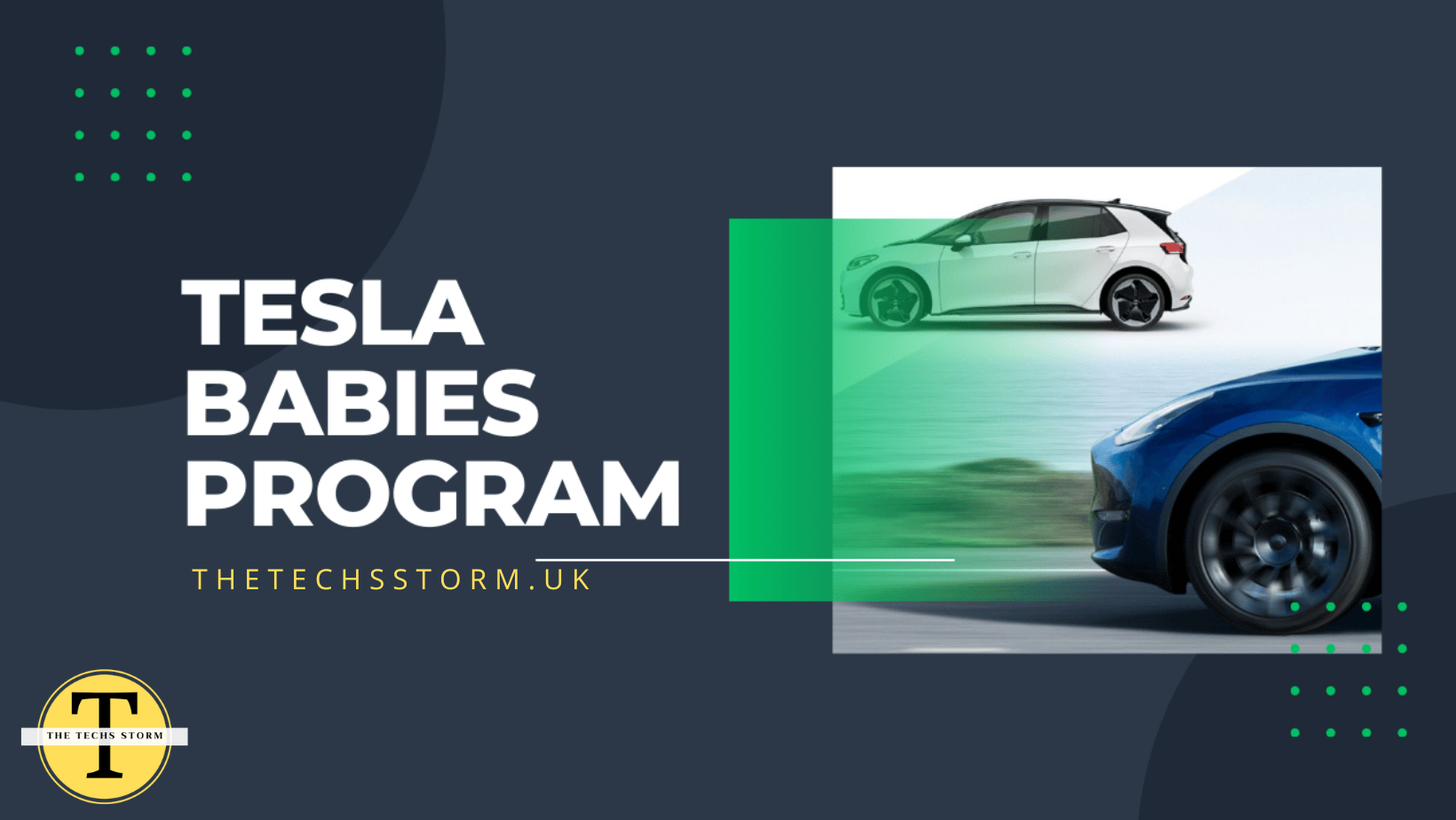 Tesla Babies Program