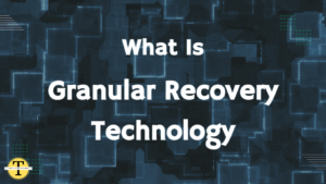 Granular Recovery Technology